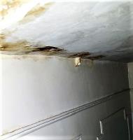 WATER DAMAGE CLEANING OF BROOKLYN image 26
